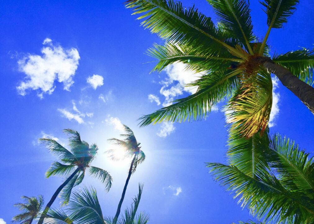 #10. Hawaii